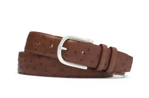 1 3/8 Ostrich Belt in Kango
