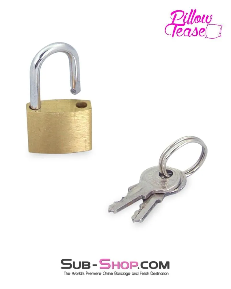 4786M      Pair of Brass Bondage Gear Padlocks
