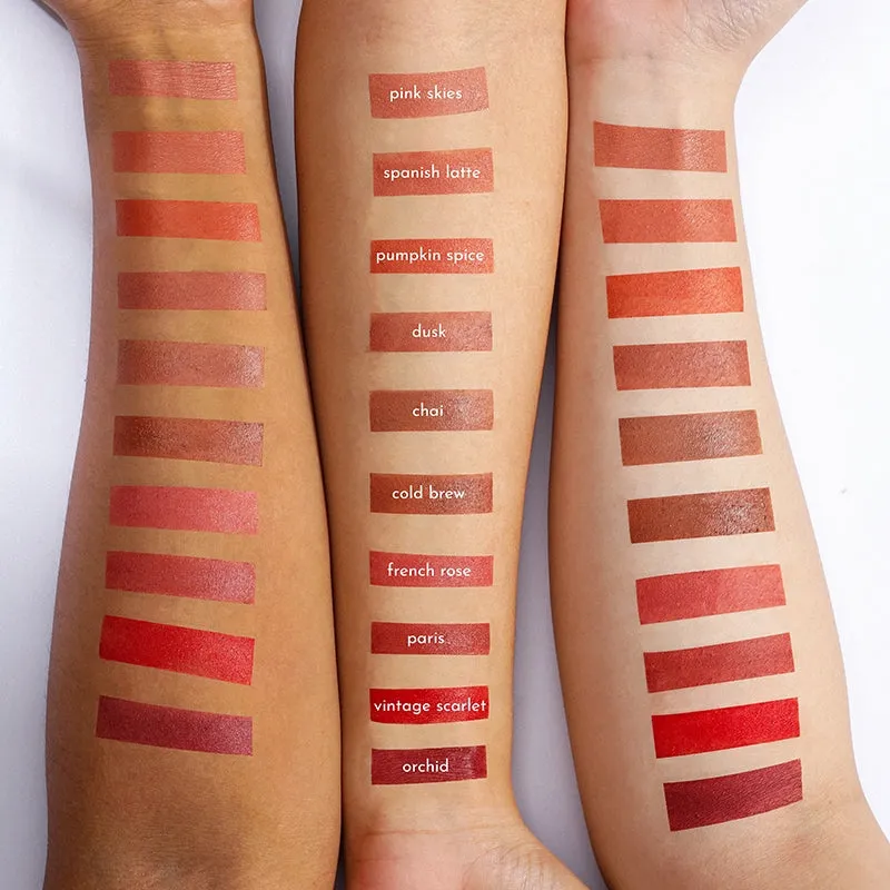 Absidy Cashmere Kiss Matte Lipstick in Pumpkin Spice