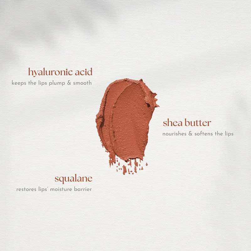 Absidy Cashmere Kiss Matte Lipstick in Pumpkin Spice