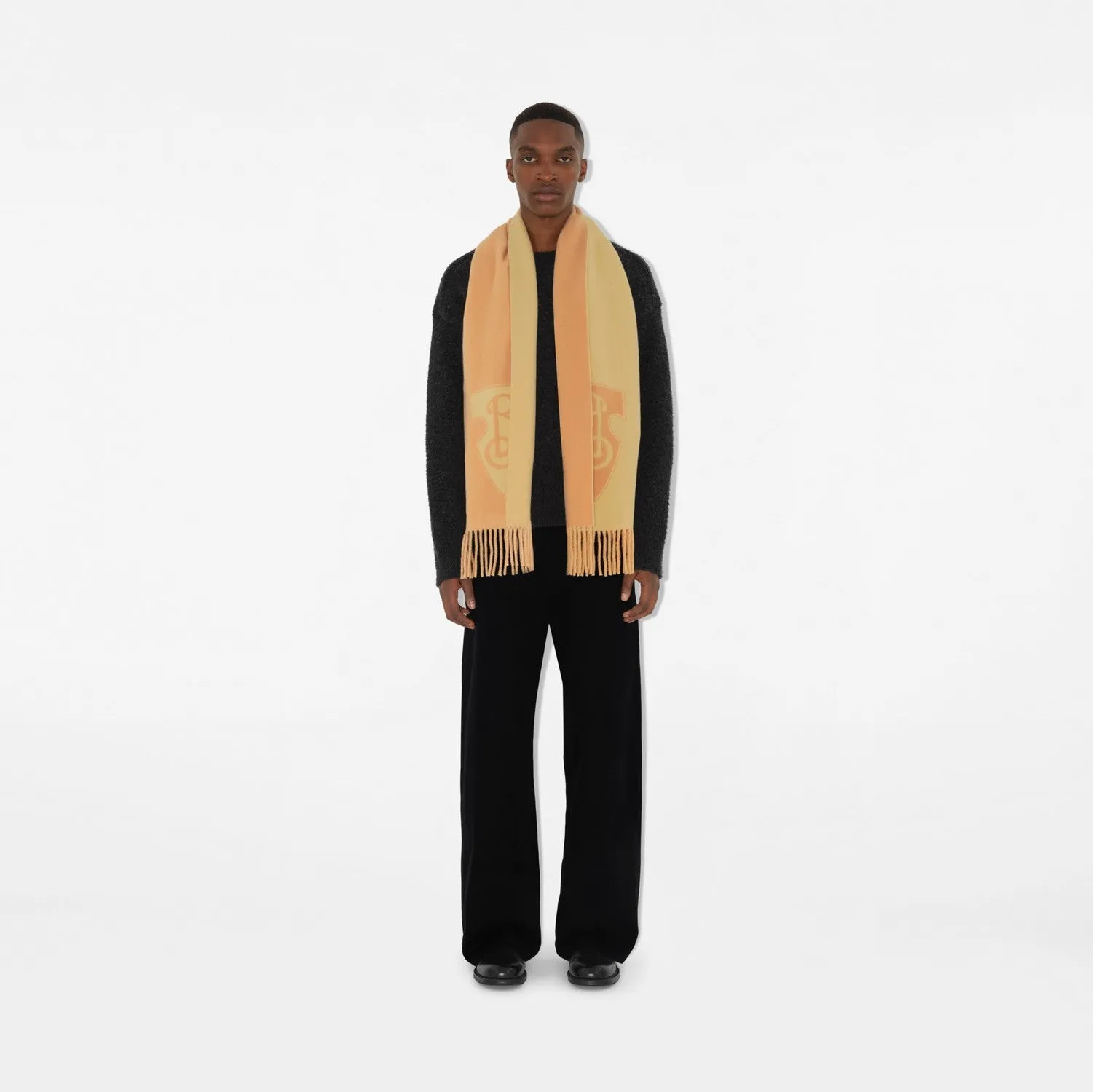 B Shield Wool Brewed Protein™ Cashmere Blend Scarf