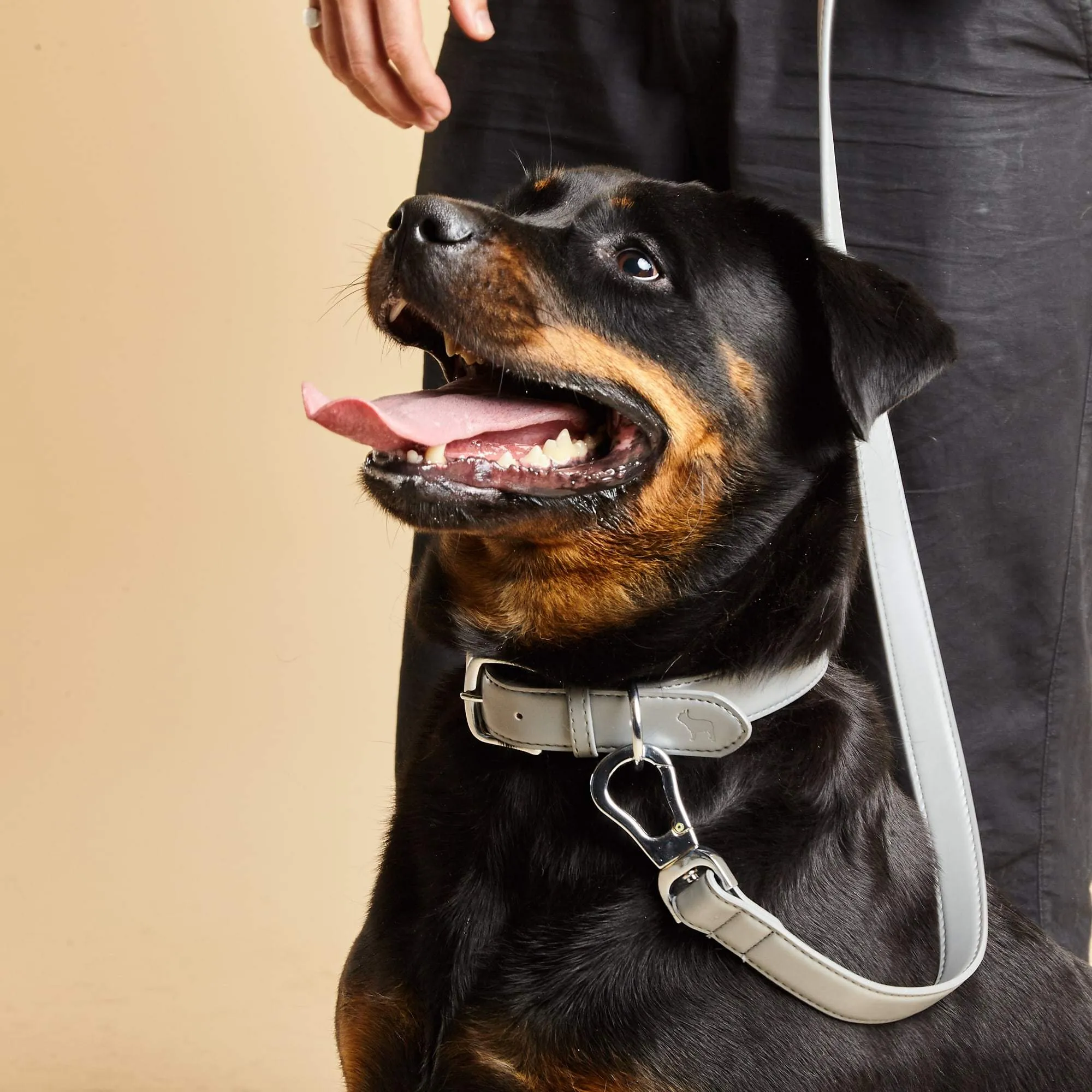 City Vegan Leather Dog Lead | Ash Grey