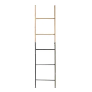 Decorative Metal & Wood Ladder