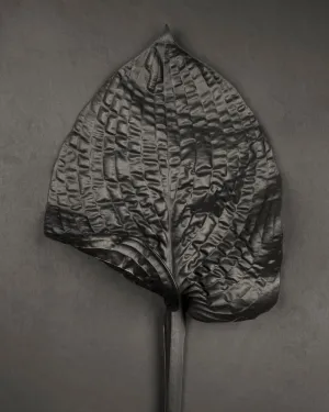 Hosta No. 1
