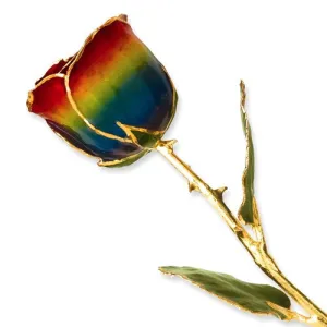 Lacquer Dipped 24k Gold Trim Rainbow Rose