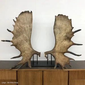 Moose Paddles: Natural Sculpture with Black Wire Detailing