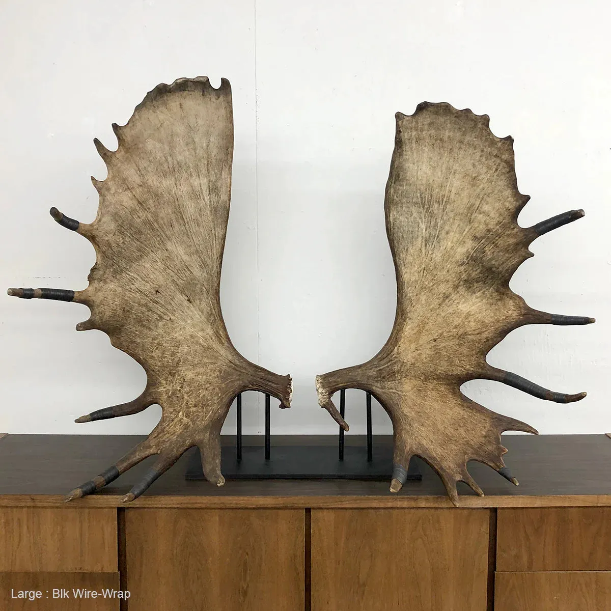 Moose Paddles: Natural Sculpture with Black Wire Detailing
