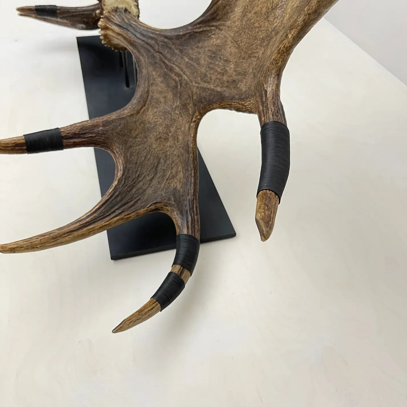 Moose Paddles: Natural Sculpture with Black Wire Detailing