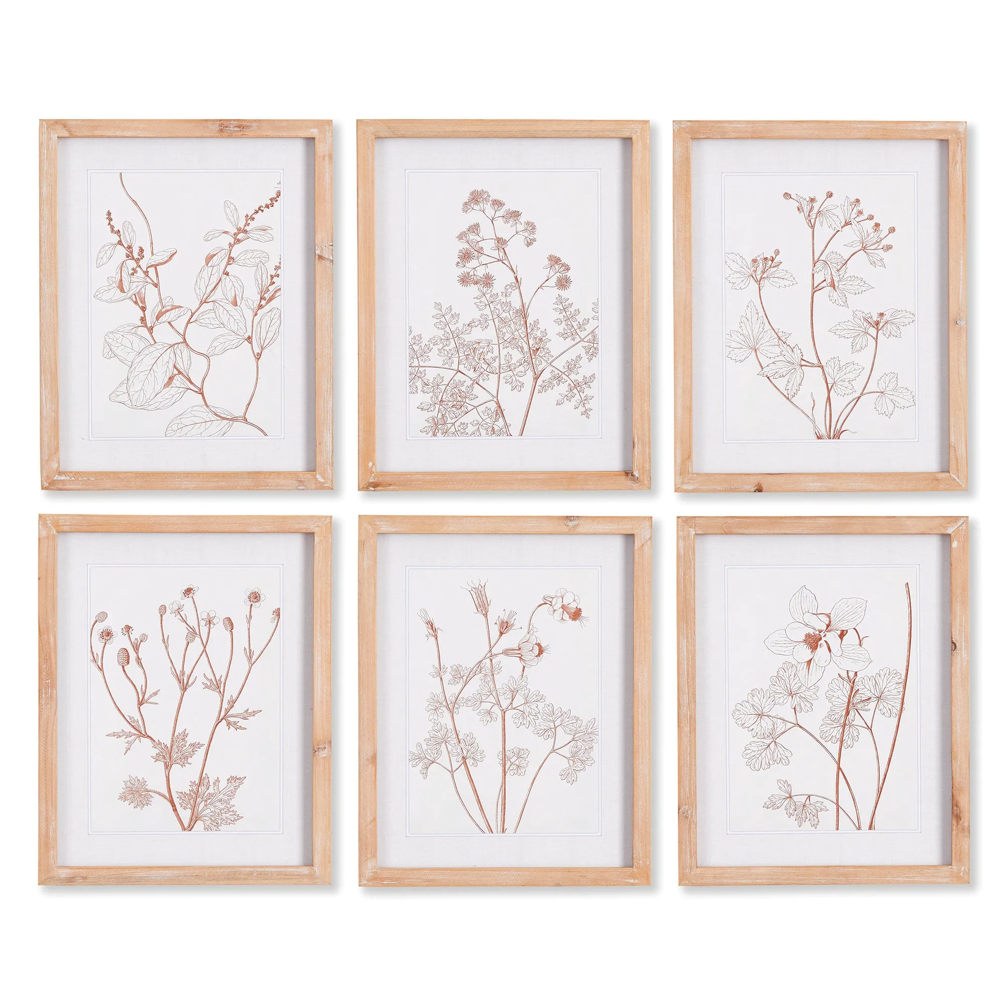 NAPA Home & Garden, BOTANICALS IN BLUSH PRINTS, SET OF 6,NNH503