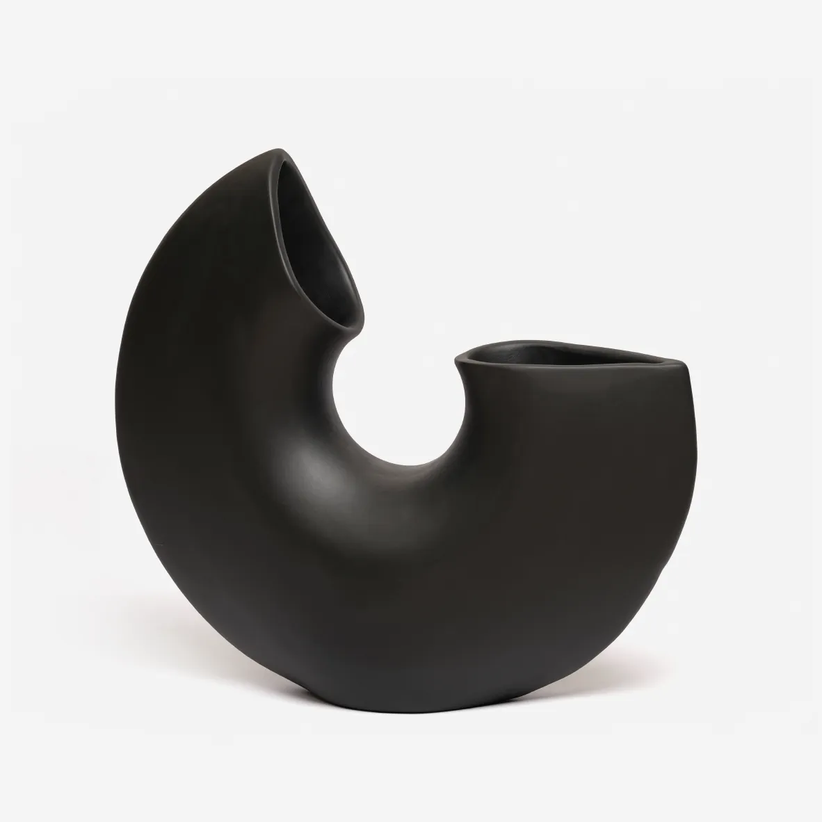 Nautilus Chambered Vase - Black