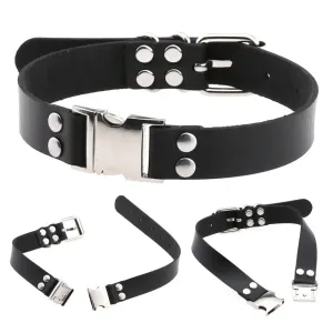 New Buckle Collar