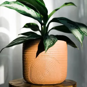 No. 43 | Scandi Style Planter - Terracotta