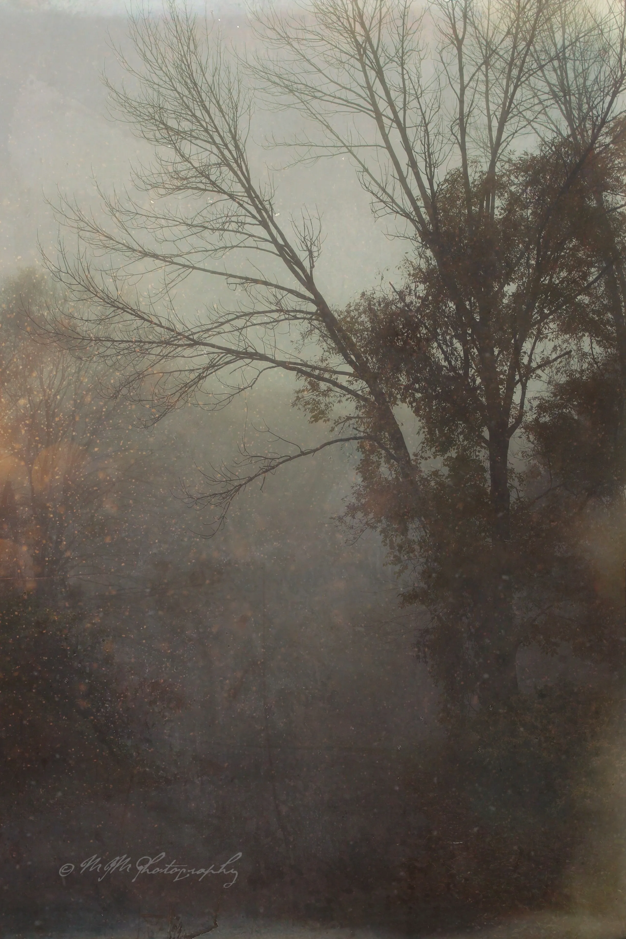 "Late October Morning" Original Artwork Photography Print.