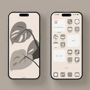 serenity theme pack.