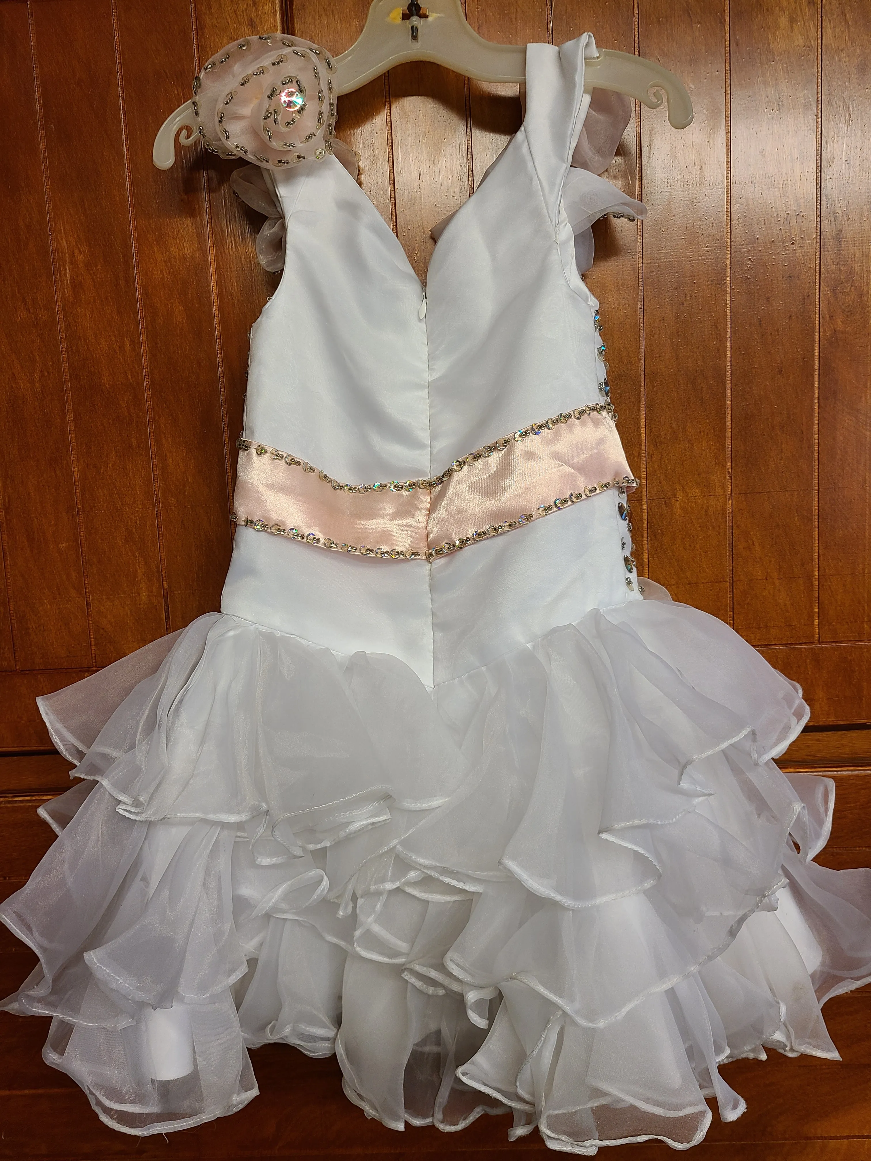 Size 4T Party Dress