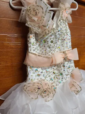 Size 4T Party Dress