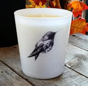 The Hummingbird