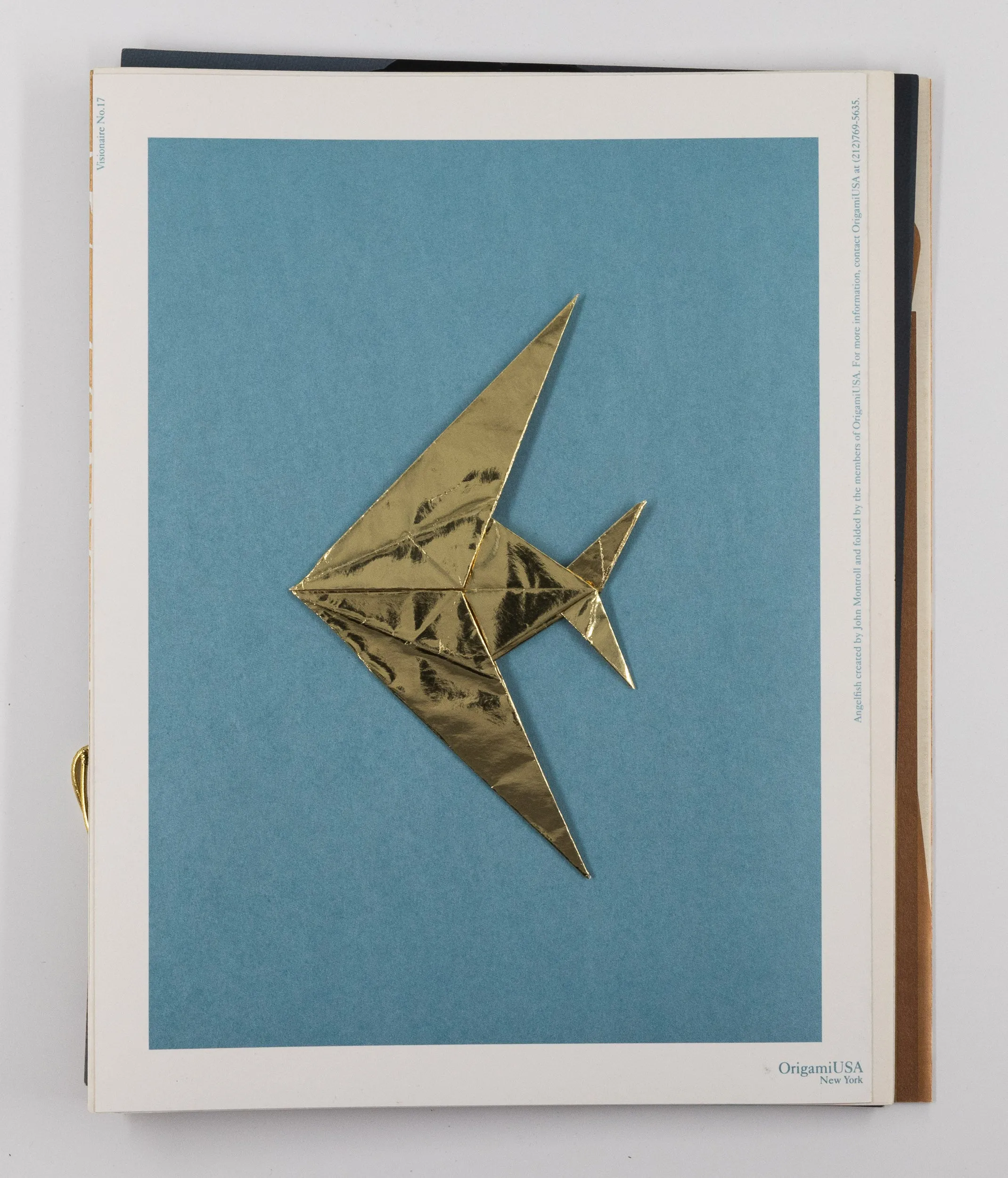 Visionaire 17: Sun Beams Gold – Stephen Gan [1st Ed.]